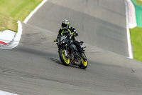 PJ-Motorsport-2019;donington-no-limits-trackday;donington-park-photographs;donington-trackday-photographs;no-limits-trackdays;peter-wileman-photography;trackday-digital-images;trackday-photos